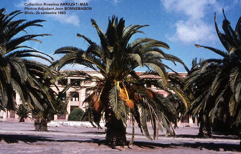 Mas- 133- Blida.jpg